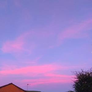 案例安全小鲤导航
