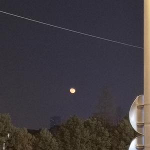 案例安全小鲤导航
