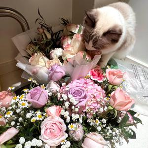 案例安全小鲤导航
