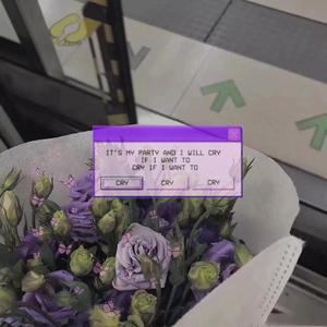 案例安全小鲤导航
